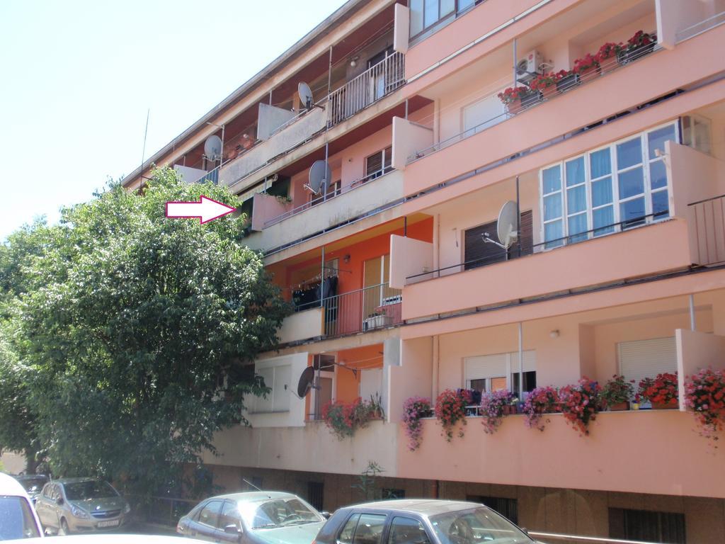 Apartment Bizjak PUY Eksteriør bilde